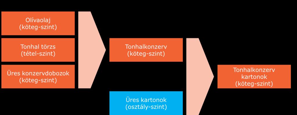A nyomon követhető objektum olyan fizikai vagy digitális objektum, amelyre vonatkozóan szükség van annak történetére, alkalmazásaira vagy helyére vonatkozó információk lekérésére.