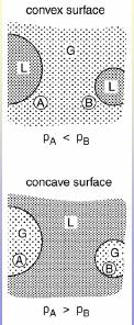 folyadékcsepp a gőztérben RT Kelvin-egyenlet pr 2 γ V ln = p r m p < p r > r