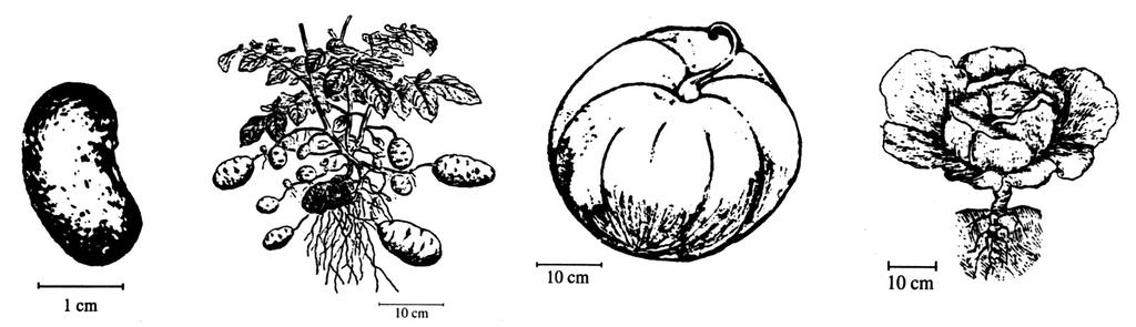 M071-421-1-1M 11 18.