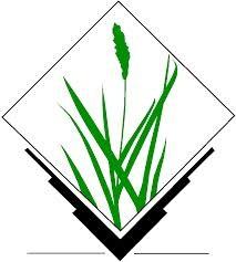 GRASS GIS 7 II.