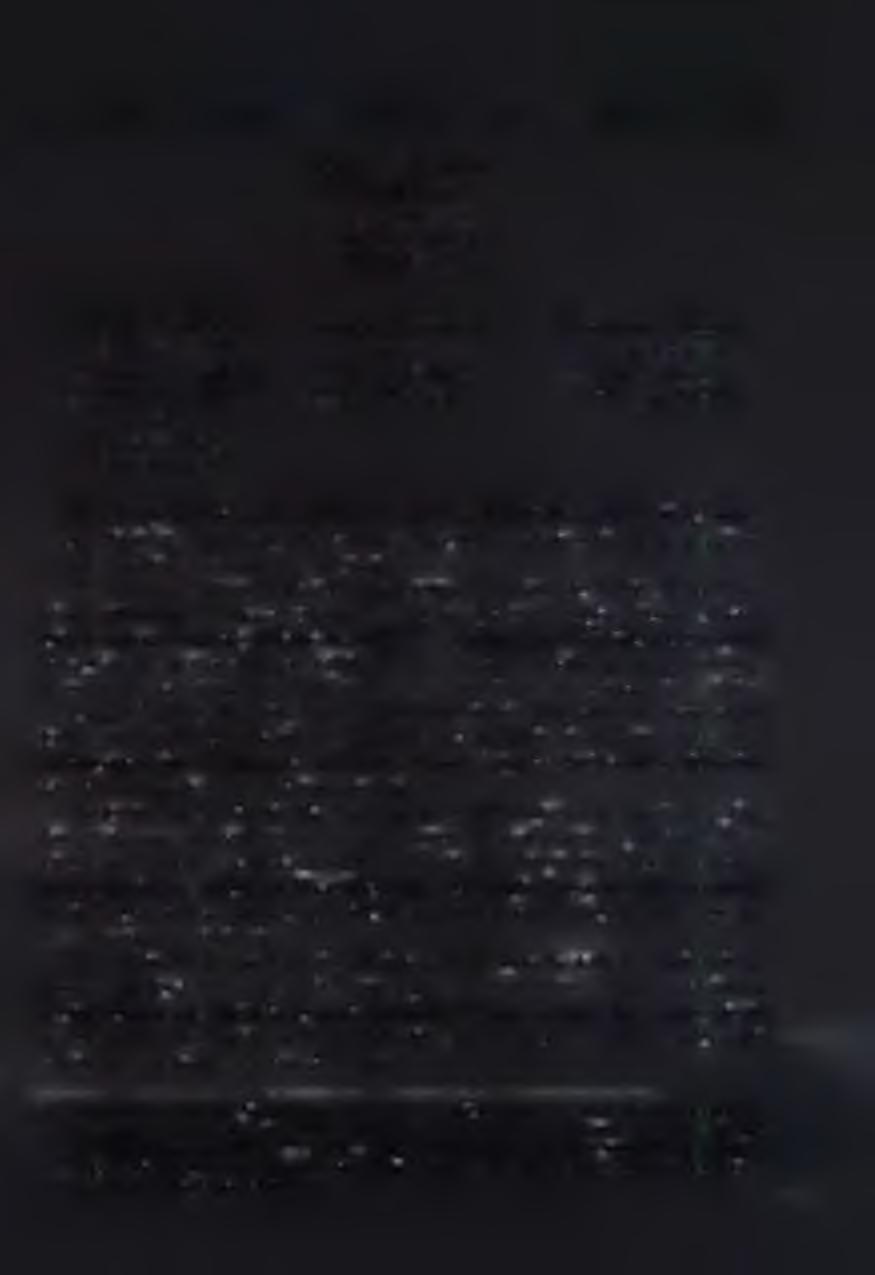 börtön szellemisége (börtönfilozófia): 1. végrehajtás célja 2. működés alapelvei 3. etikai viszonyok működési rendszer: 1. működési feladatok 2. működés szabályai 3. fogvatartottak jogi helyzete 4.