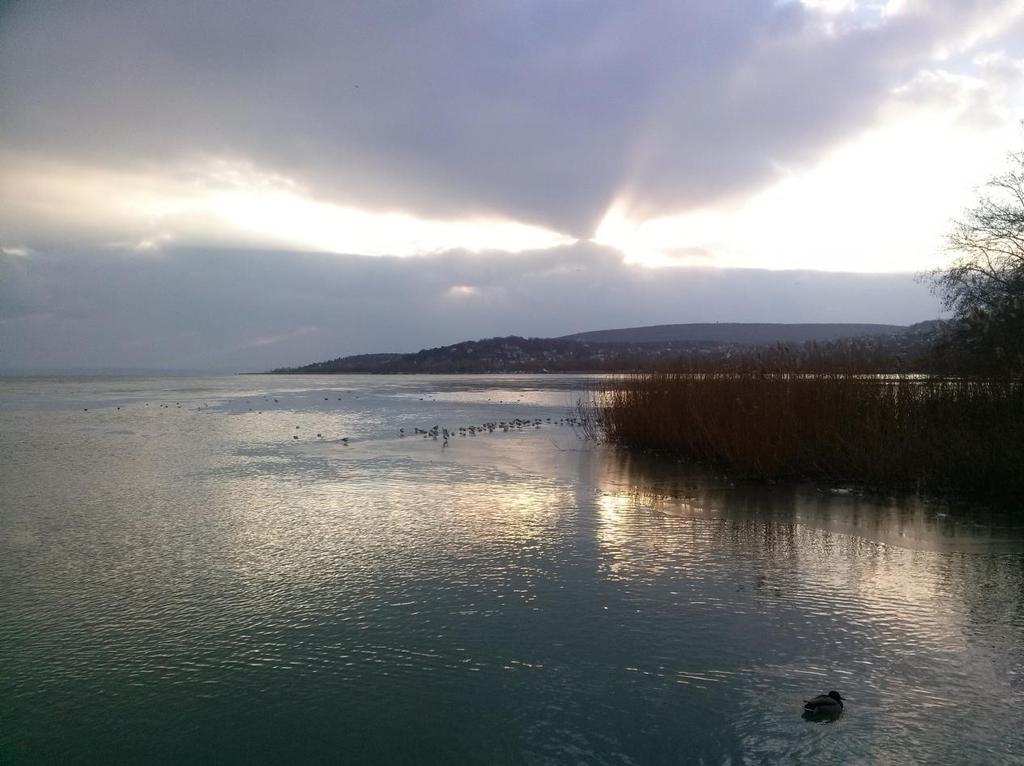 BALATONALMÁDI VÁROS ÉGHAJLATVÁLTOZÁSI PROGRAMJÁNAK FELÜLVIZSGÁLATA