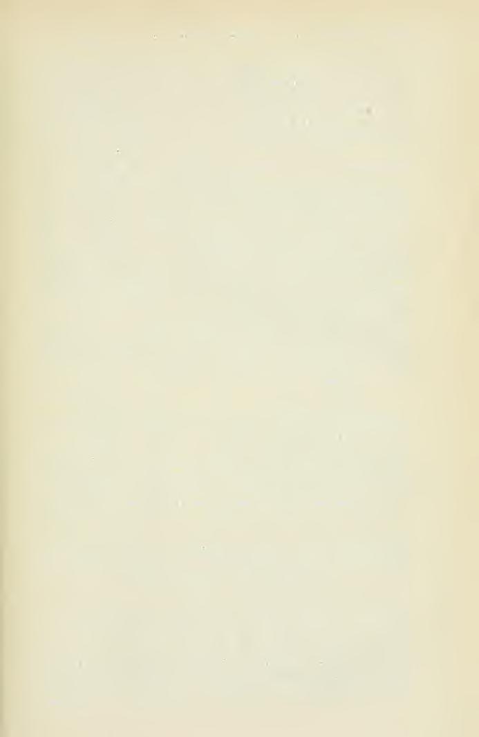 ADATOK A NAGYVÁRAD MELLETTI MELEG VIZEK ALGA PLÓR.ÜAhOZ 185 51. Fragilaria capucina Qu. 58. Rh. ventricosa Qu. Ist. 52. Fr. construens Qu. 59. Eunotia arcus Qu. 53. Epithemia turgida Qu. 60. Eu. pectinalis Qu.