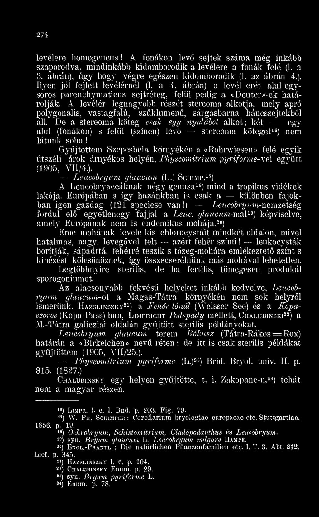 De a stereoma köteg csak egy nyalábot alkot; két egy alul (fonákon s felül (színen lev stereoma köteget nem 16 látunk soha Gyjtöttem Szepesbéla környékén a «Rohrwiesen» felé egyik útszéli árok