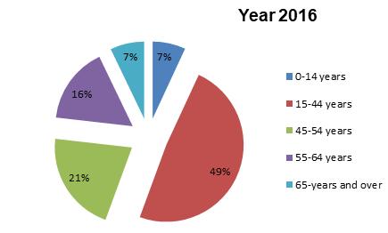 This qualitative research used two different techniques to collect data: focus groups 7 and collage 8.