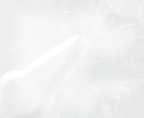 SHUF ä EHIRJ V ä,u Q\Y OW V PÎDQ\DJ NRIIHU 710 W 4.