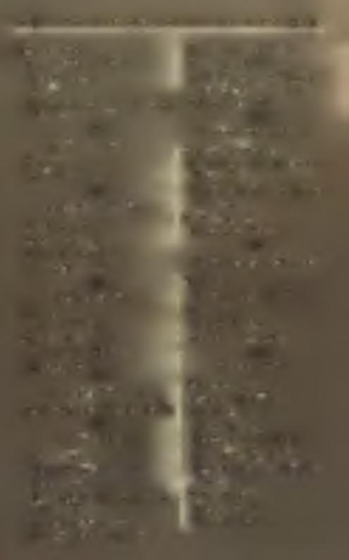 D é v a. Hirsch Adolf. S z á s z v á r o s. Fuhrm ann Károly. Kolossi V. K I S K Ü K Ü L L Ő M E G Y E. E m egyében nincs nyomda. K O L O Z S M E G Y E. K o lo z s v á r. A jtai Kovács Albert.