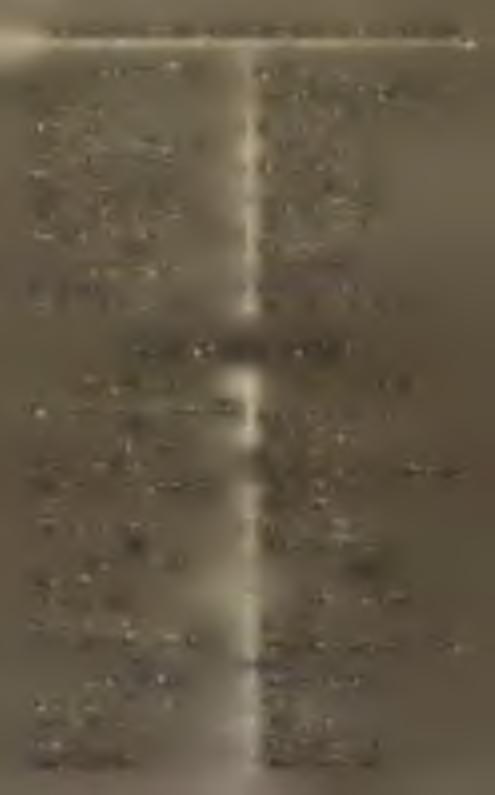 W eiss L. és F. Tapolcza. Z A L A M E G Y E. Löw y B. B.-Füred. Zala-Egerszeg. Füredi Könyvnyomda. Ö zv. T ahy Rozália, III. D U N A B A L PAR TJA. Á R V A M E G Y E.