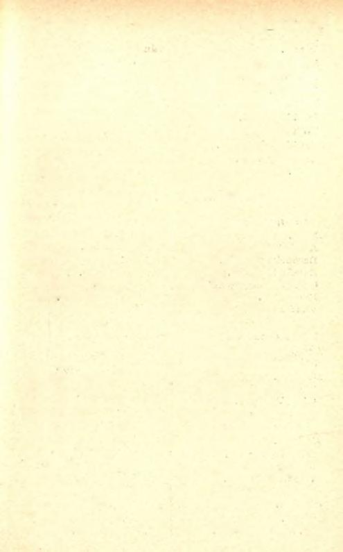 A MAGYAR KORONA ORSZÁGAINAK KÖNYVNYOMDÁI 119 Ó -K a n iz s a. Sebők Lajos. S z a b a d k a. Bitterm ann József. Schlesinger Sándor. Székely Simon. Ú jv id é k. Fuchs Ágoston. Dr. M iletits Szvetozár.