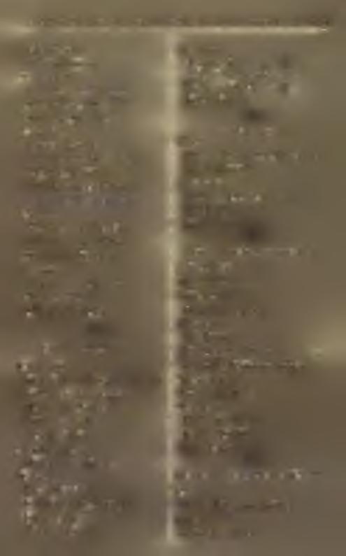 C S O N G R Á D M E G Y E. C so n g rá d. Schwártz S. Fióknyom dája. H ó d -M ező - V d sd r h ely. Hungaria-Nyom da. Kánitzer G. Lévai Fülöp. M in d s z e n t. Diamant és Gaál. S zeg ed. Bába Sándor.
