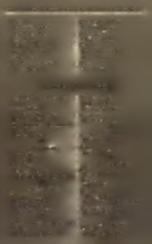 A B A U J-T O R N A M E G Y E. K a s s a. A lexi Ödön. Bernovits Gusztáv. Kalafoni Náthán. Özv. Lippóczy Józsefné. Ries Lajos. W erfer Károly. B E R E G M E G Y E. B eregszász.