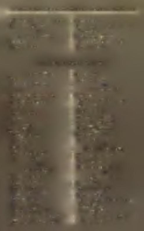 Zsilinszky Endre. G y o m a. K ner Izidor. G y u la. Dobay János. O r o s h á z a. M agyar A. M. V eres Lajos. S z a r v a s. Sám uel Adolf. Szikes Antal. B I H A R M E G Y E.