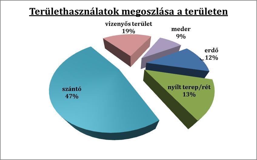 változása a területen viszonylag gyors.