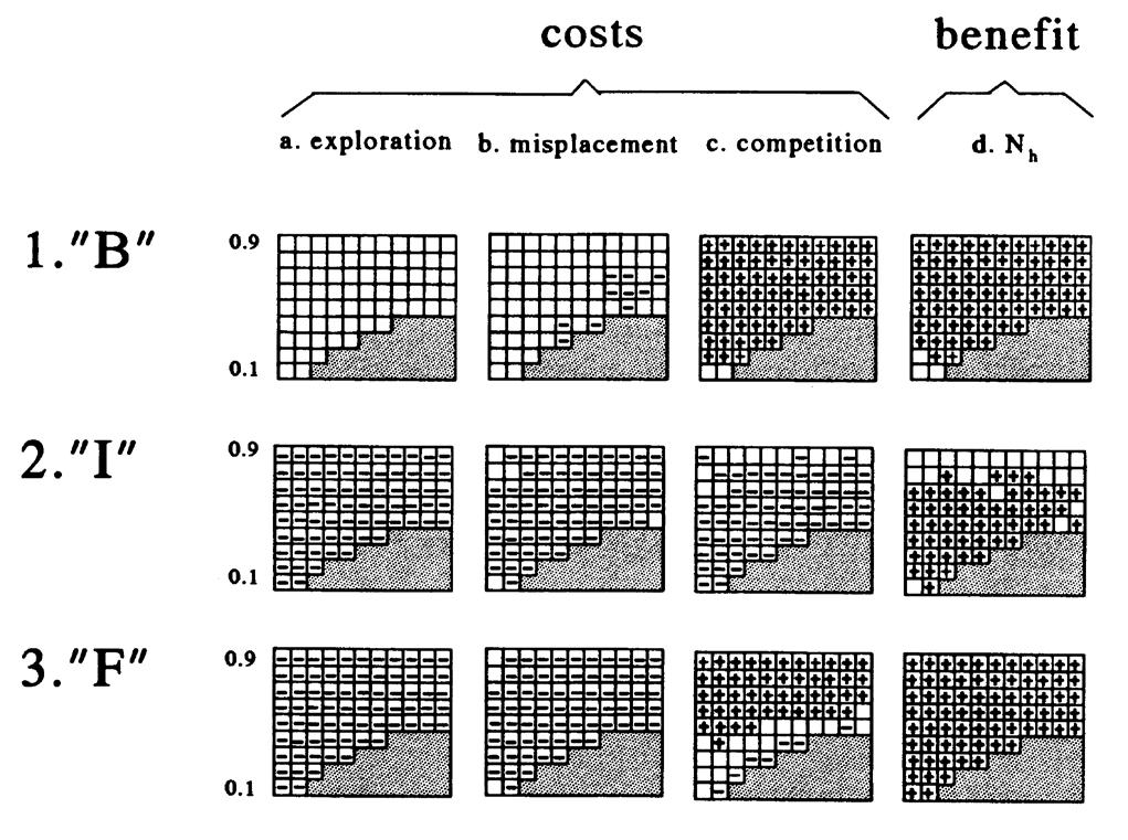 Táplálék keresés Oborny B (1994) Growth rules in clonal plants and