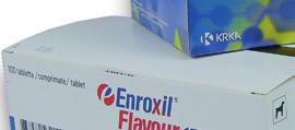arra utal, hogy az enrofloxacin a megfelelő gyógyszer.