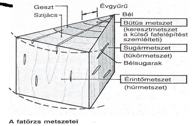4. Hagyományos és korszerű fa szerkezetek készítése A fa mint nyersanyag és szerkezeti anyag Jó műszaki tulajdonságai (nagy szilárdság, könnyű megmunkálhatóság) miatt a fa egyike a legrégebben