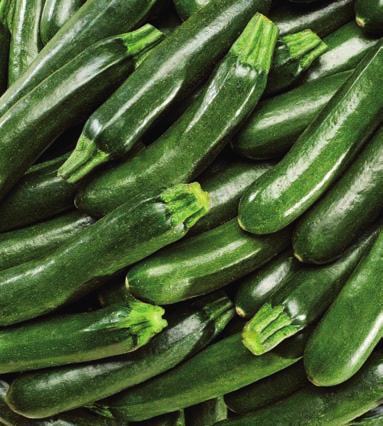 MAGYAR TERMÉK /kg -33% 299 MAGYAR TERMÉK /kg -25% 249 CUKKINI 199 ÚJBURGONYA 185 A kép illusztráció.