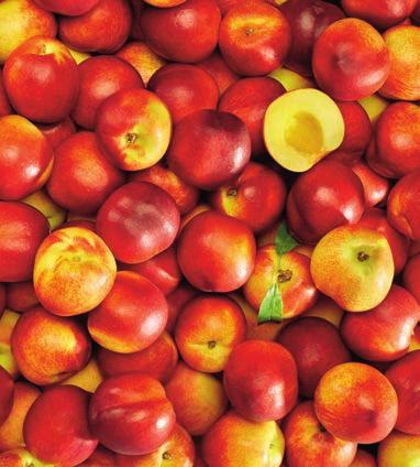 MÁLNA 125 g -30% 399 279 1 kg = 2232 NEKTARIN /kg 329 TÖLTSE LE MOBIL- ALKALMAZÁSUNKAT!
