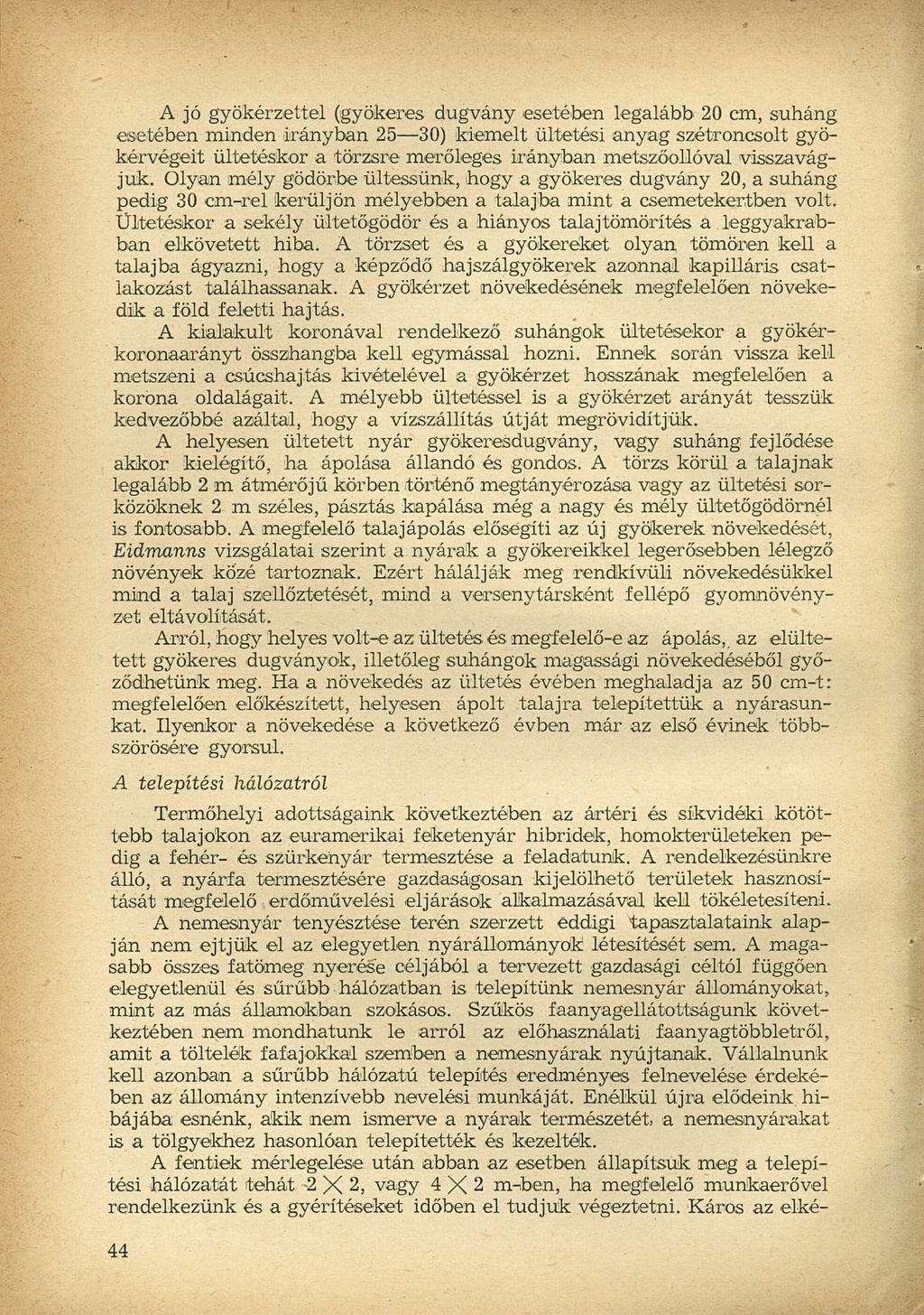 A jó gyökérzettel (gyökeres dugvány esetében legalább 20 cm, suháng esetében minden irányban 25 30) kiemelt ültetési anyag szétroncsolt gyökérvégeit ültetéskor a törzsre merőleges irányban
