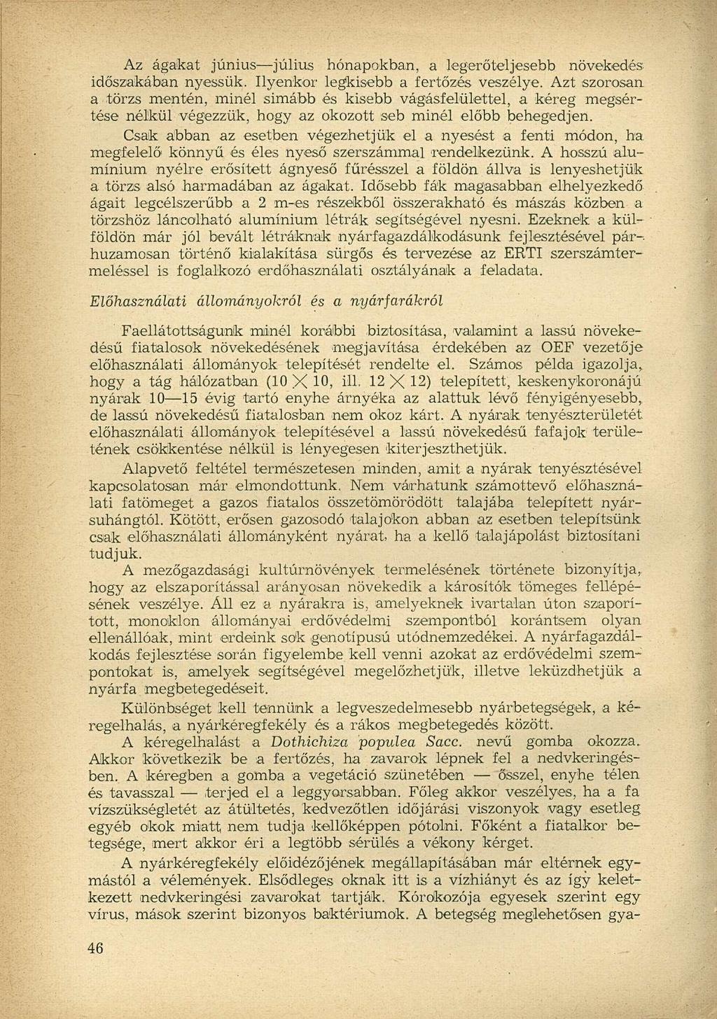 Az ágakat június július hónapokban, a legerőteljesebb növekedés időszakában nyessük. Ilyenkor legkisebb a fertőzés veszélye.