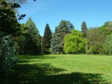 természetes vagy természetközeli elemei, Közpark,