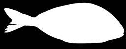 200-500g öml.