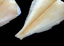 --- Hekkfilé, 10% glazúr 60-240 g Tengeri haltörzs, 10% glazúr 100-300 g öml.