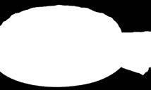 díszítéssel) 14 szelet 1300 g 18% Barackos Ricotta Torta 1200 g Barackos Ricotta Torta (lágy piskóta vaníliás túrókrémmel töltve,