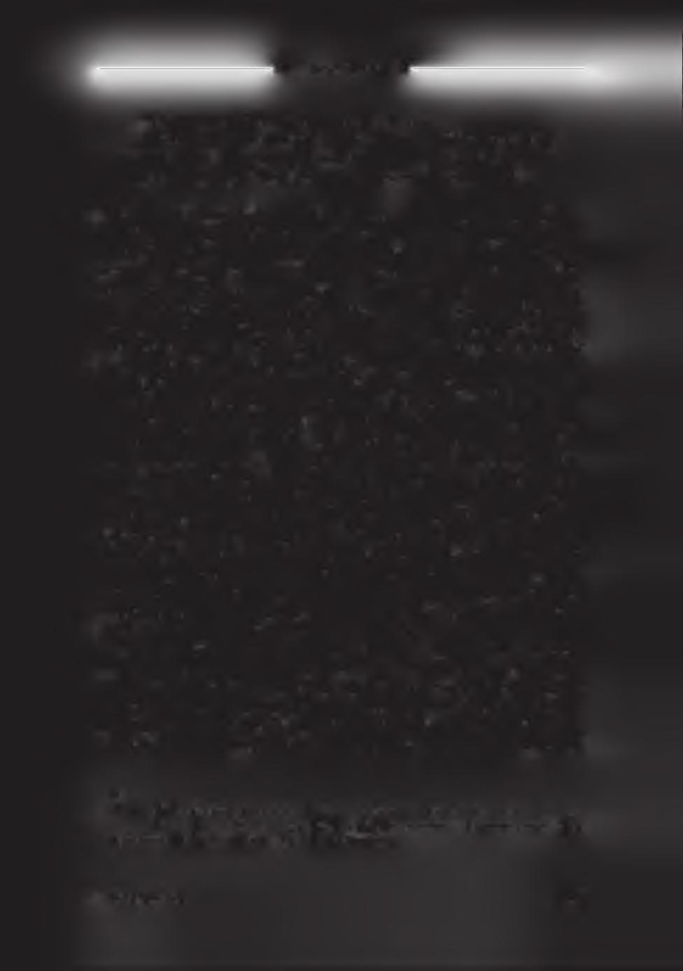 ------------------------------------------------------ ALANY, SZ U BJEK TU M ------------------------------------------------------ A ztán meg nem is illett, Isten bűnéül ne vegye.
