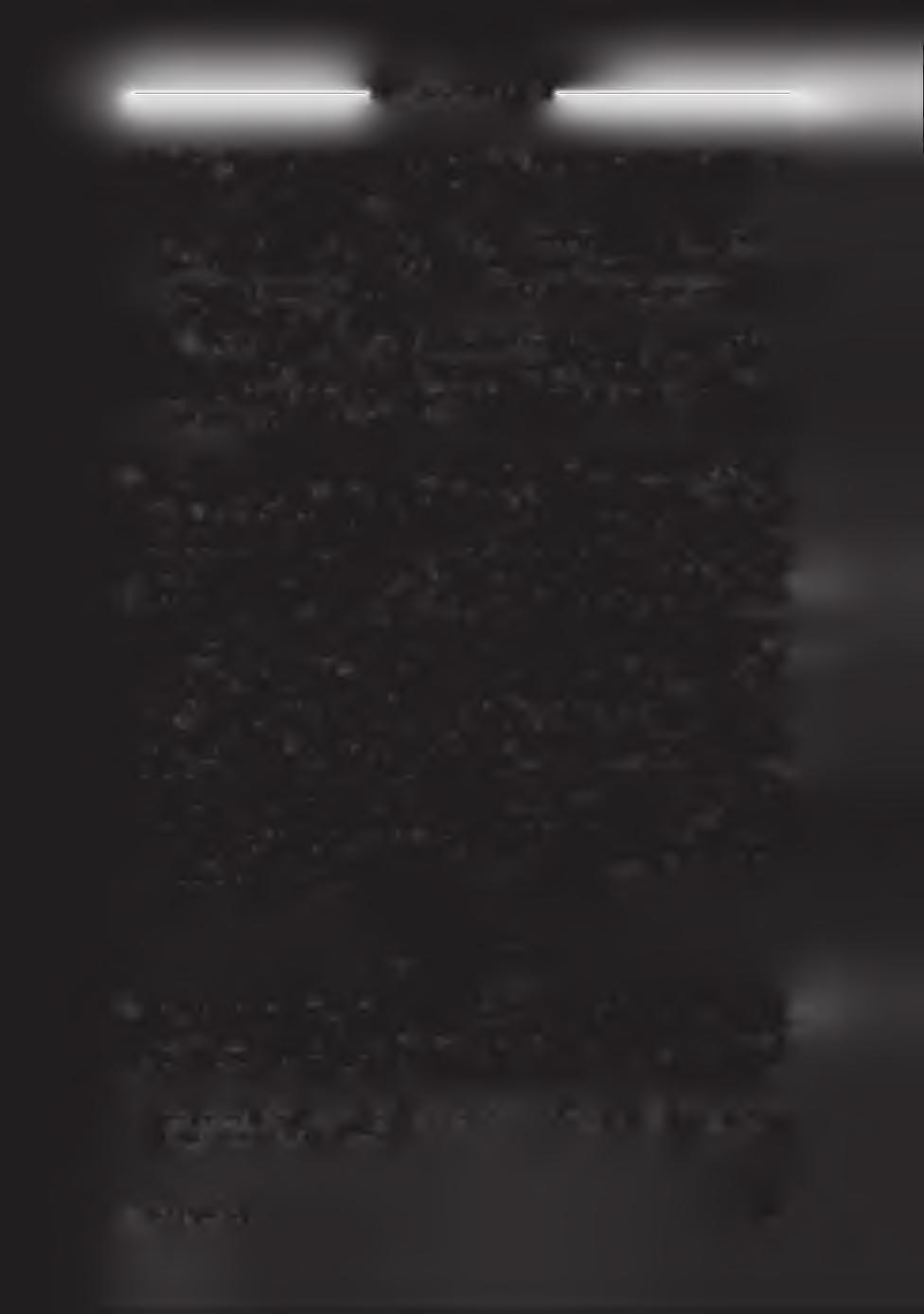 ------------------------------------------------------ ALANY, SZ U BJEK TU M ------------------------------------------------------ lő, Vajkay Ákos nézőpontjából fejezik ki, azaz értelmezik a