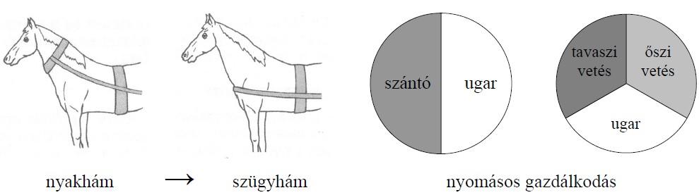 15. A feladat a mezőgazdasági technika X XI. századi fejlődésével kapcsolatos. (K/3) Válaszoljon a mezőgazdasági technikának a X XI.