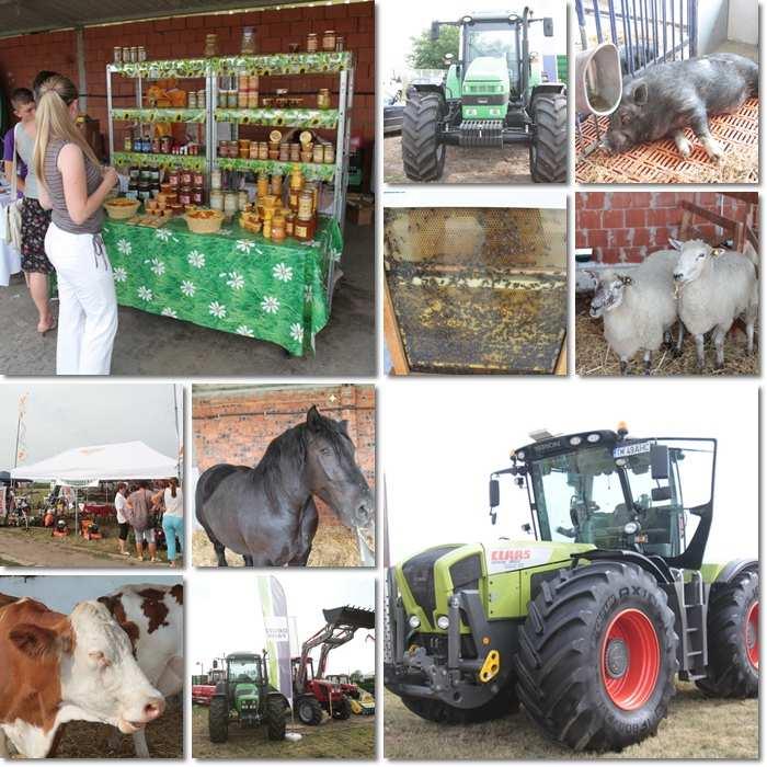 konferencián Temesváron, a TIMAGRALIM Nemzetközi Élelmiszer és Agráripari kiállításon, háromnapos rendezvényen.
