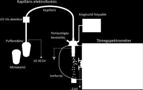 pórusméret (nagyobb akrilamid %) csökkenti Az elektroforézis egy vékony, 5-75 µm belső átmérőjű,