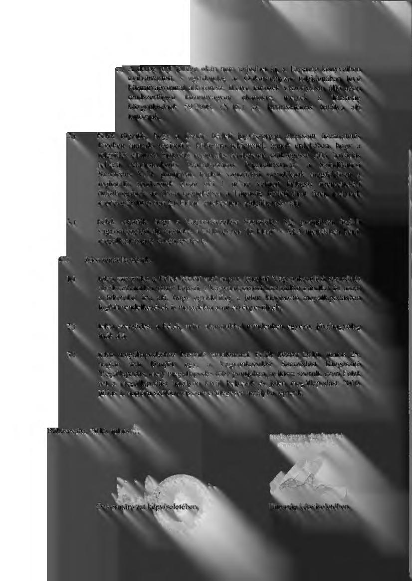c.) A dolog jogi jellege okán nem terjedhet ki, a Társaság könyveiben nyilvántartott, s egyidej űleg az Önkormányzat tulajdonában lév ő közm űvagyonnal alkotórész, illetve tartozék viszonyában álló