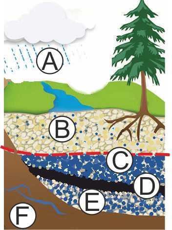 ) Írd a betűkhöz a megfelelő fogalmakat! A B C Honnan kerül víz talajba? D E F Mit jelöl a piros szaggatott vonal? Milyen kőzetből állhat a D réteg?