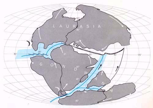 TRIÁSZ (Triassic) 230-245 millió éve kezdődött PANGEA újra feldarabolódik: LAURÁZSIA és GONDWANA az Egyenlítő mentén