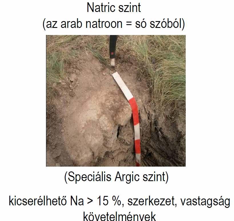 Alkalmazott talajtan V. Solonetz Solonchaks Gleysols Andosols Podzols  Planosols Stagnosols Chernozems Kastanozems Phaeozems - PDF Ingyenes  letöltés