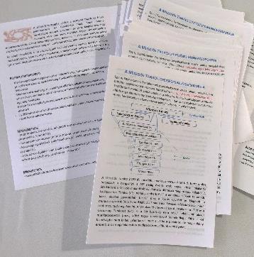 egy-két segítségnyújtással közreműködnek a missziónkért. Ezért a templom hátuljáról (és missziónk nagyterméből is) vigyünk egy összesítő szórólapot a lehetséges jövőbeli munkához.