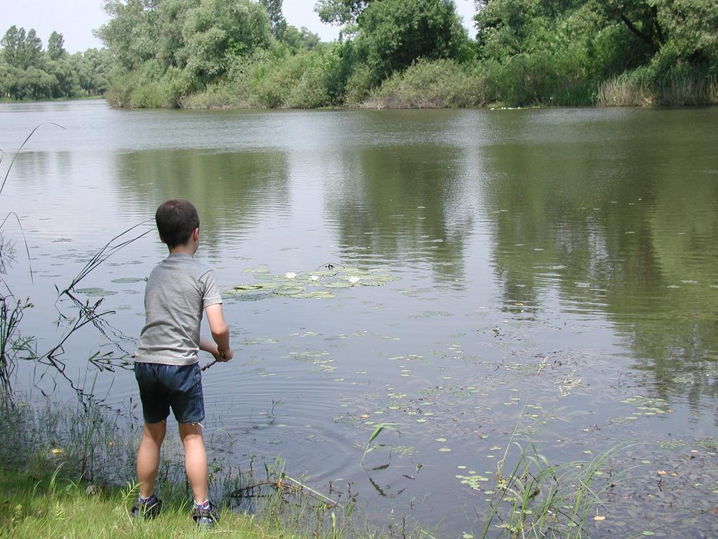 Proposals for standardization of hydroecological studies by the Trans-Tisa Tisa-Network, considering the principles of the European Union Water Framework Directive and Natura 2000. Periphyton.
