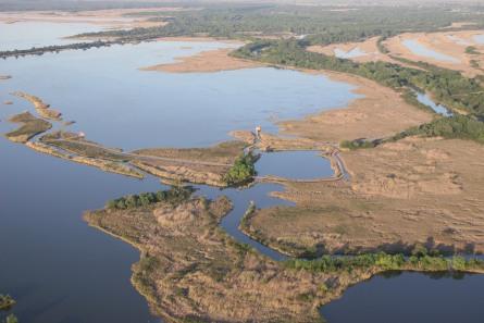 Tisza-tó