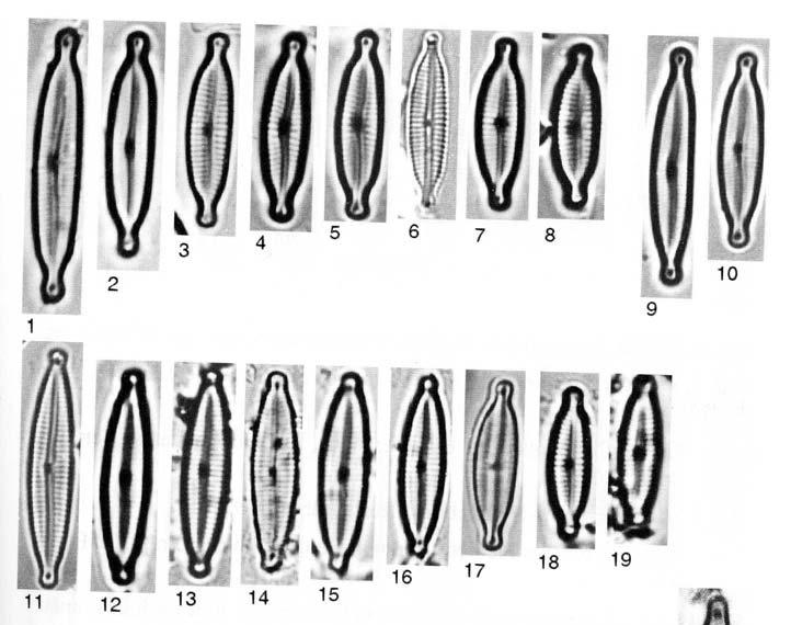 1-8