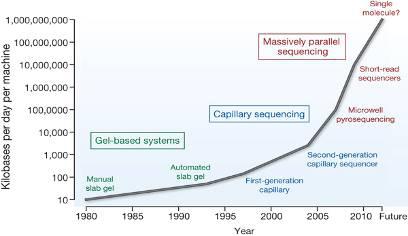 The next-generation sequencing (NGS) enables large numbers of organisms to be sequenced at low cost.