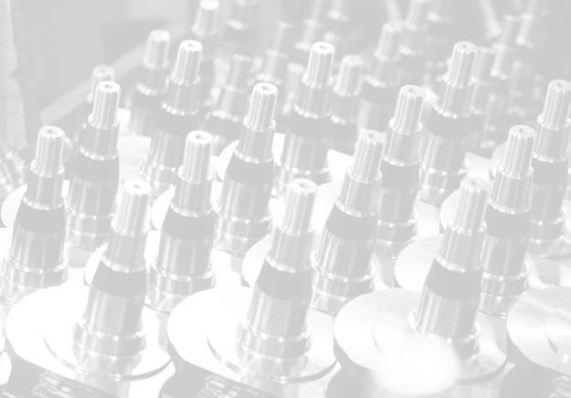 The objectives of previous strategies will continuously apply to the operation of the vehicle business unit.