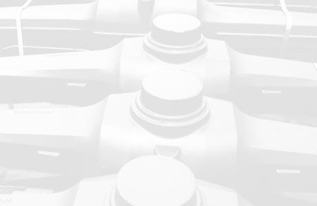 EFFICIENCY IMPROVEMENT AND DEVELOPMENT OF PRODUCTION TECHNOLOGY With a goal for improving efficiency and developing production technology, the holding in the year of 2005 implemented capital