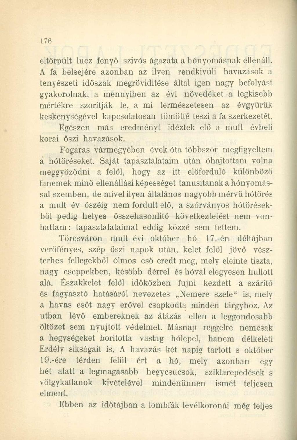 eltörpült lucz fenyő szívós ágazata a benyomásnak ellenáll.