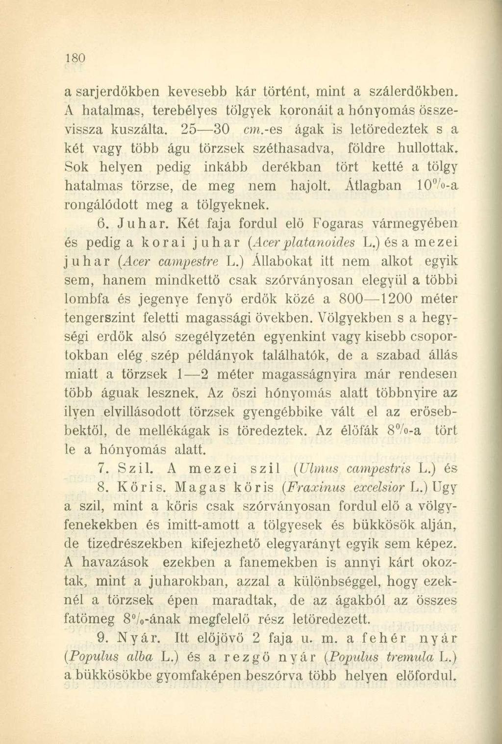 a sarjerdökben kevesebb kár történt, mint a szálerdőkben, A hatalmas, terebélyes tölgyek koronáit a hónyomás összevissza kuszálta. 25 30 cm.