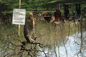 1973-tól Cserny Józseffel és gyermekükkel, Cserny Mártonnal rendszeresen látogatták a Zsennyei Alkotóházat, melyet Majtényi Károly vezetett.