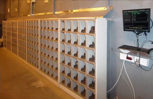 Intellicom East Africa General Motors, Kenya 1db KeySafe Lock 256 2db KeySafe Lock 304 1db KeySafe Lock 208 1db KeySafe Lock 104 3db KeySafe Lock 56 kültéri