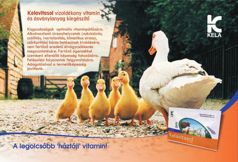 TolnAgro 3 Hírek Kollegáink az alábbi számokon közvetlenül is elérhetők: Tartalom TolnAgro Kft. Dr. Varga József igazgató........................... 30/9570-750 Dr. Varga Józsefné gazdasági igazgató.