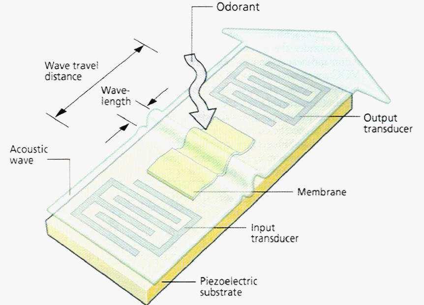 Ha a felületen adszorbens réteg van, akkor a kvarc mikromérleg (quartz microbalance, QMB) vagy az AFH eszköz mint kémiai- vagy gázérzékelı funkcionál. MIÉRT A KVARC?